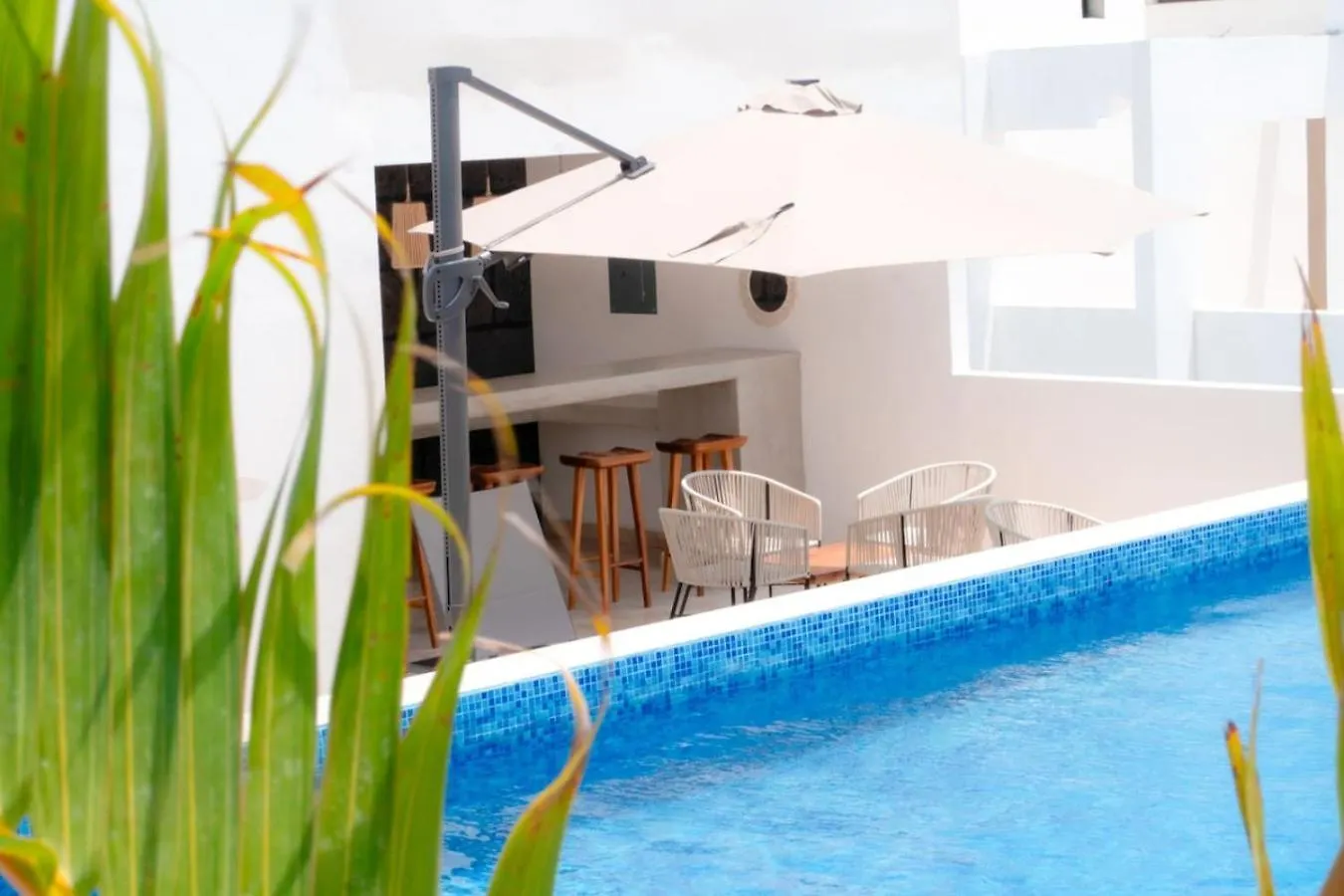 Apartment Lux 2 Bd Suite With Private Plunge Pool, Terrace Tulum