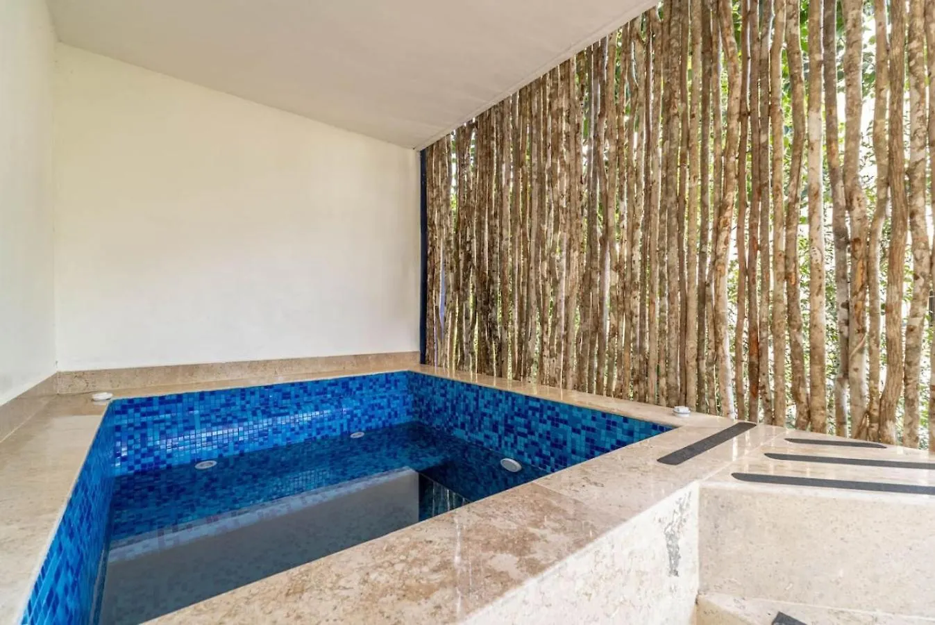 Lux 2 Bd Suite With Private Plunge Pool, Terrace Tulum