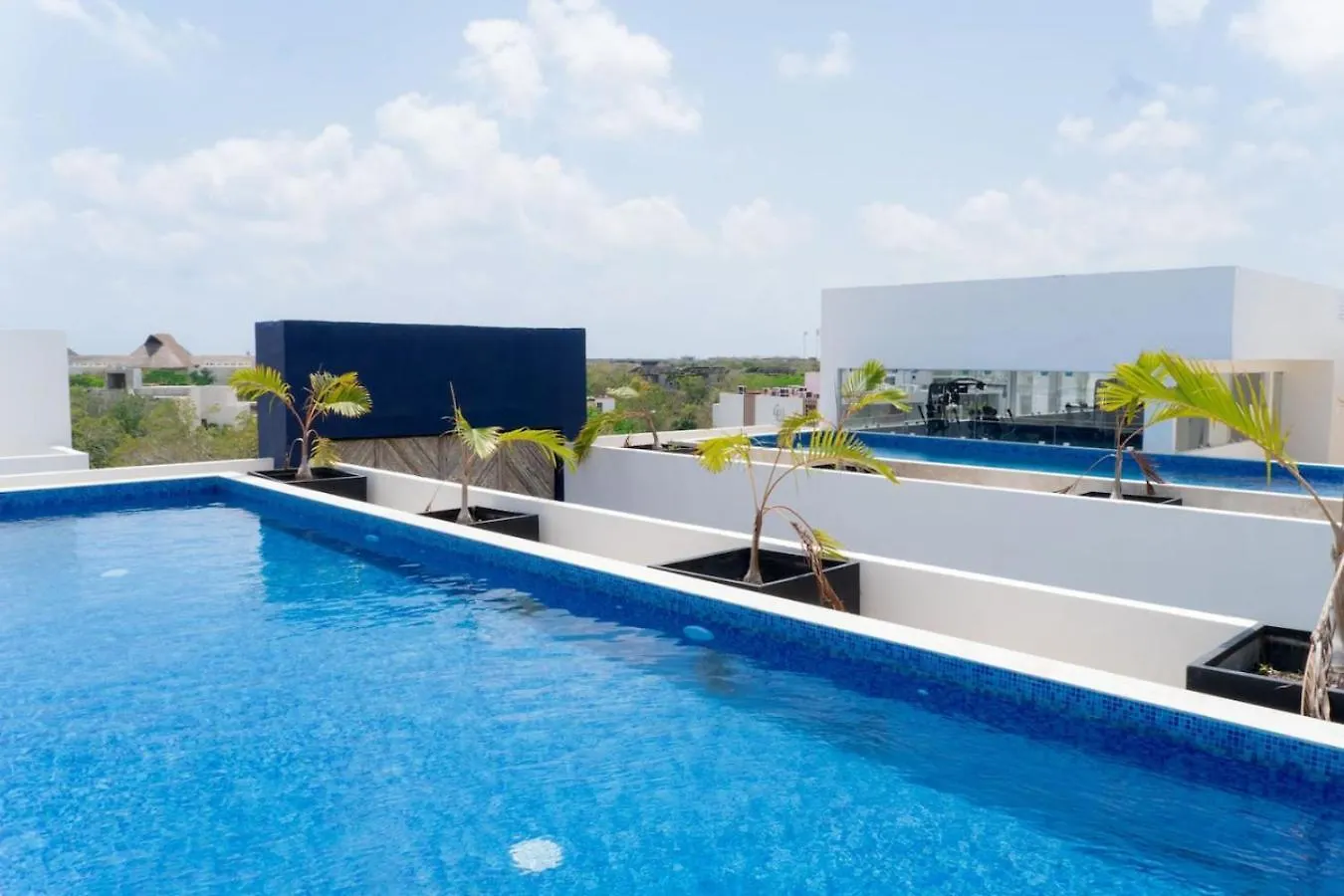 Lux 2 Bd Suite With Private Plunge Pool, Terrace Tulum 0*,  Mexico