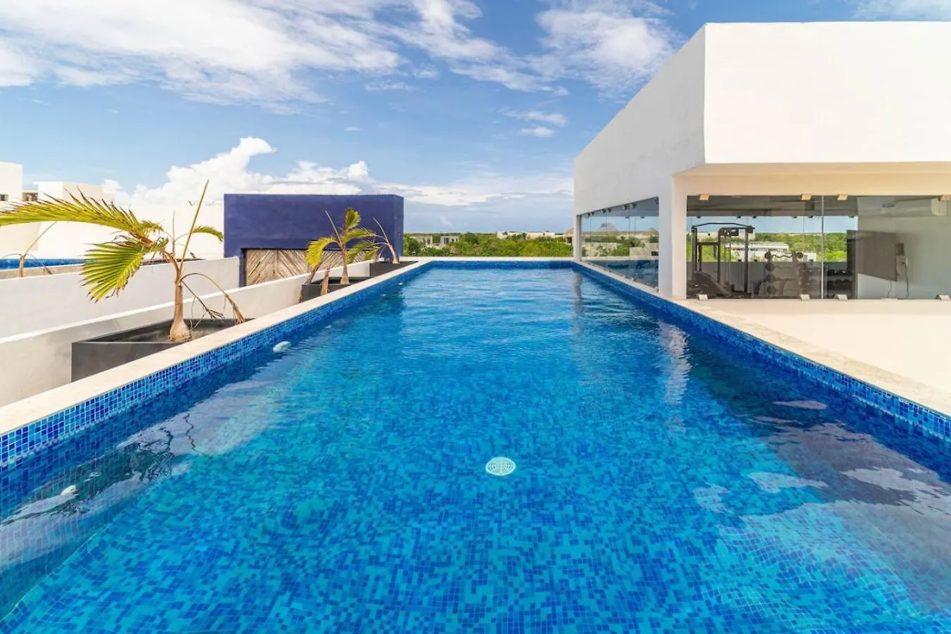 Lux 2 Bd Suite With Private Plunge Pool, Terrace Tulum